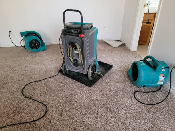 Best Sewage cleanup and water damage restoration  in Charlottesville, VA