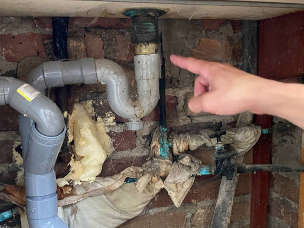 Best Water damage restoration mold remediation  in Charlottesville, VA