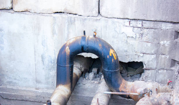 Best Mold removal after water damage  in Charlottesville, VA